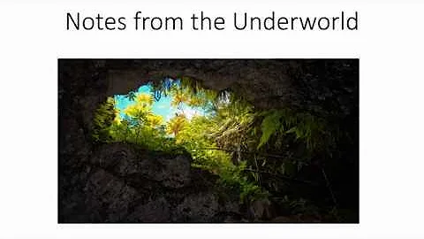Notes from the Underworld with Janet Bowers