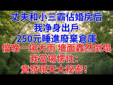 丈夫和小三霸佔婚房后，我净身出戶,250元睡進廢棄倉庫，當晚一場大雨 墻面轟然倒塌，我當場愣住，竟發現天大秘密！#為人處世#故事#小說#生活經驗#情感故事#戀愛#情感#婚姻