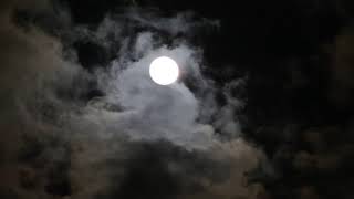 night moon for edit القمر ليلا للمونتاج