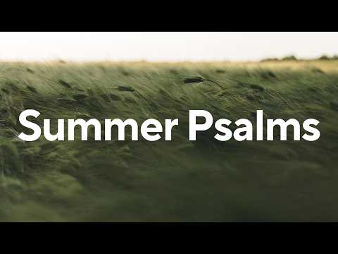 Trust in the Shadowlands - Psalm 17
