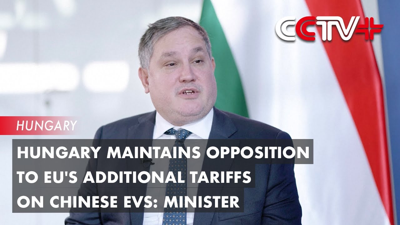 Hungary Maintains Opposition to EU's Additional Tariffs on Chinese EVs: Minister