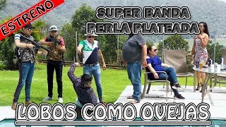 SUPER BANDA PERLA PLATEADA / LOBOS COMO OVEJAS / VÍDEO ESTRENO 2019