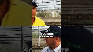¡Trombo e Innofosol: Impulsa tus cultivos desde el vivero al campo! #shorts