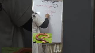 شرح مورد #تتنفس  الحيوانات واحتلال اوساطها لسنوات#الثانية متوسط