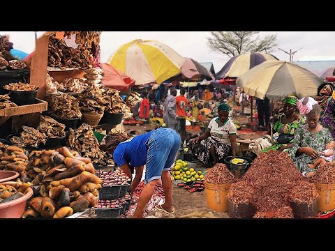 Rural African Village Market Day In Gosa Nigeria West Africa