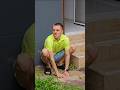 Guard Dog Scares Away The Thief 😱🐶