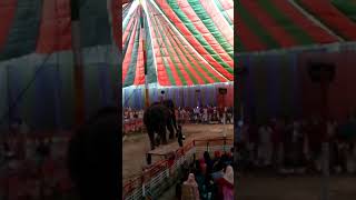 হতর অসধরন খল,,