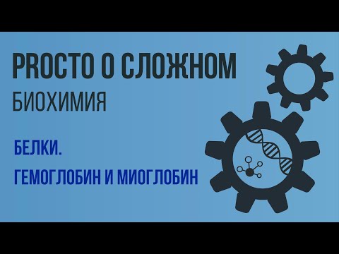 PROСТО О СЛОЖНОМ Гемоглобин и миоглобин, биохимия №4