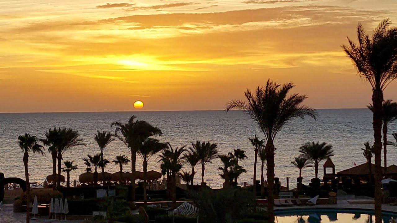 Из Шарм Эль Шейха с любовью