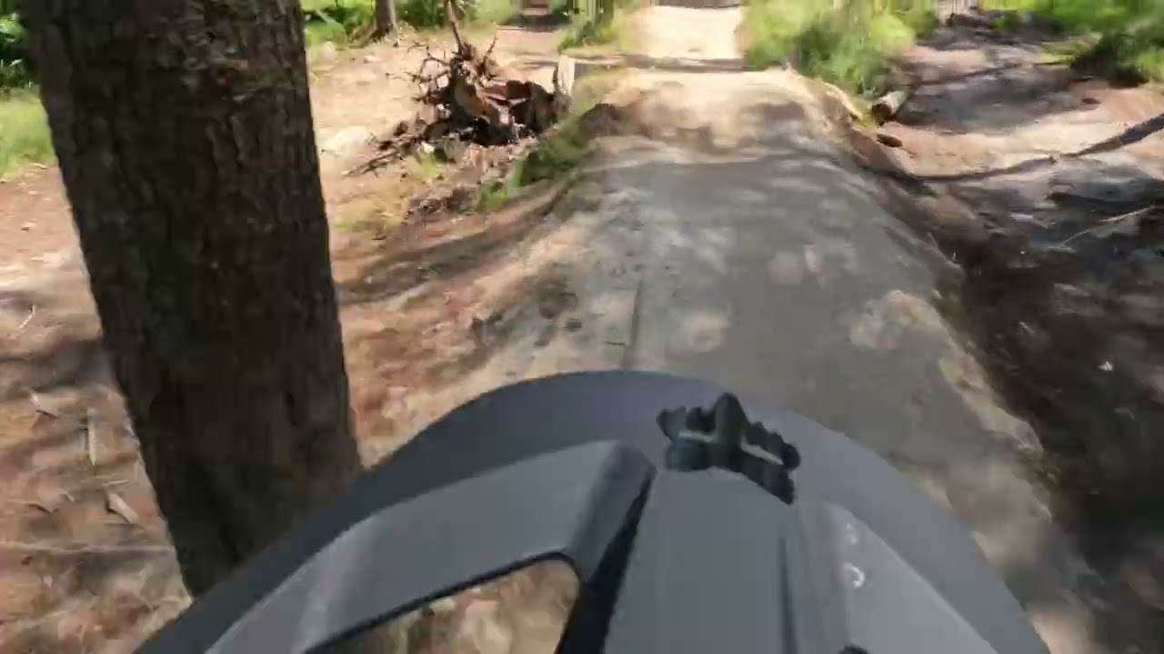 Grenoside woods  steel city peatys trail