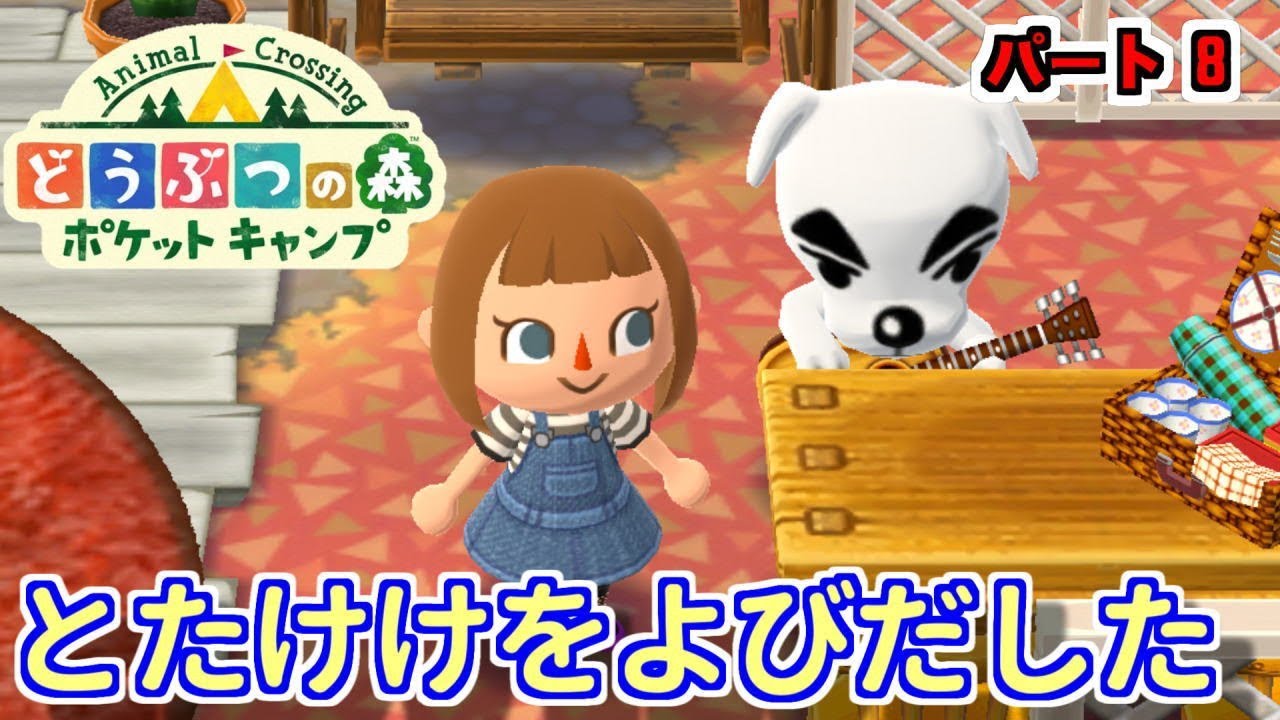 とたけけとたぬきちは同時にでてこない？[ポケ森]どうぶつの森ポケット 