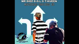 Mr Diez D.O.L & T-Kueen _Ngingedwa (Feat. Mr Healer)_(Official Audio)