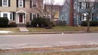 The Ameer Movie The Prince Of Egypt - Trailer