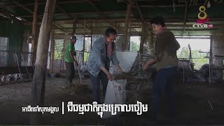 ជីធម្មជាតិក្នុងក្រោលចៀម Natural fertilizer in the sheepfold |អាជីពនាំសុភមង្គល