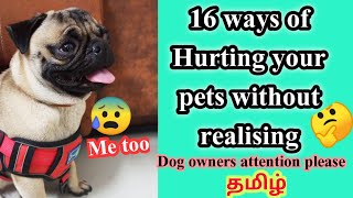 16 Mistake of dog owners / dogs care / pug care #scoobypug #pugdog #dogscare #dogtraining by Scooby Veedu 5,846 views 2 years ago 22 minutes