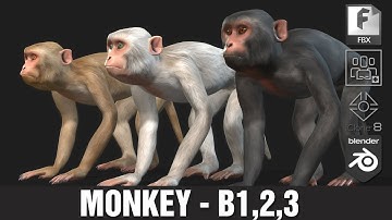 Monkey_B1,2,3