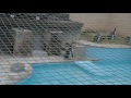 姫路市立動物園 の動画、YouTube動画。