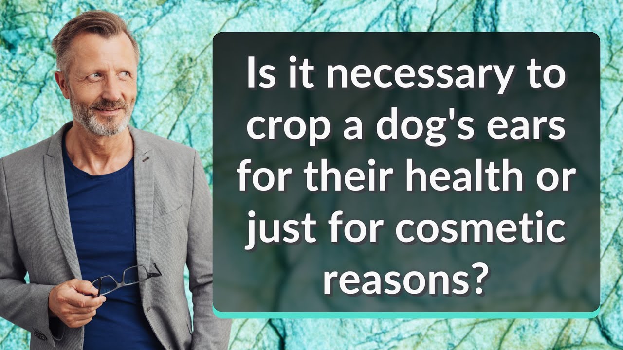 Is it necessary to crop a dog's ears for their health or just for