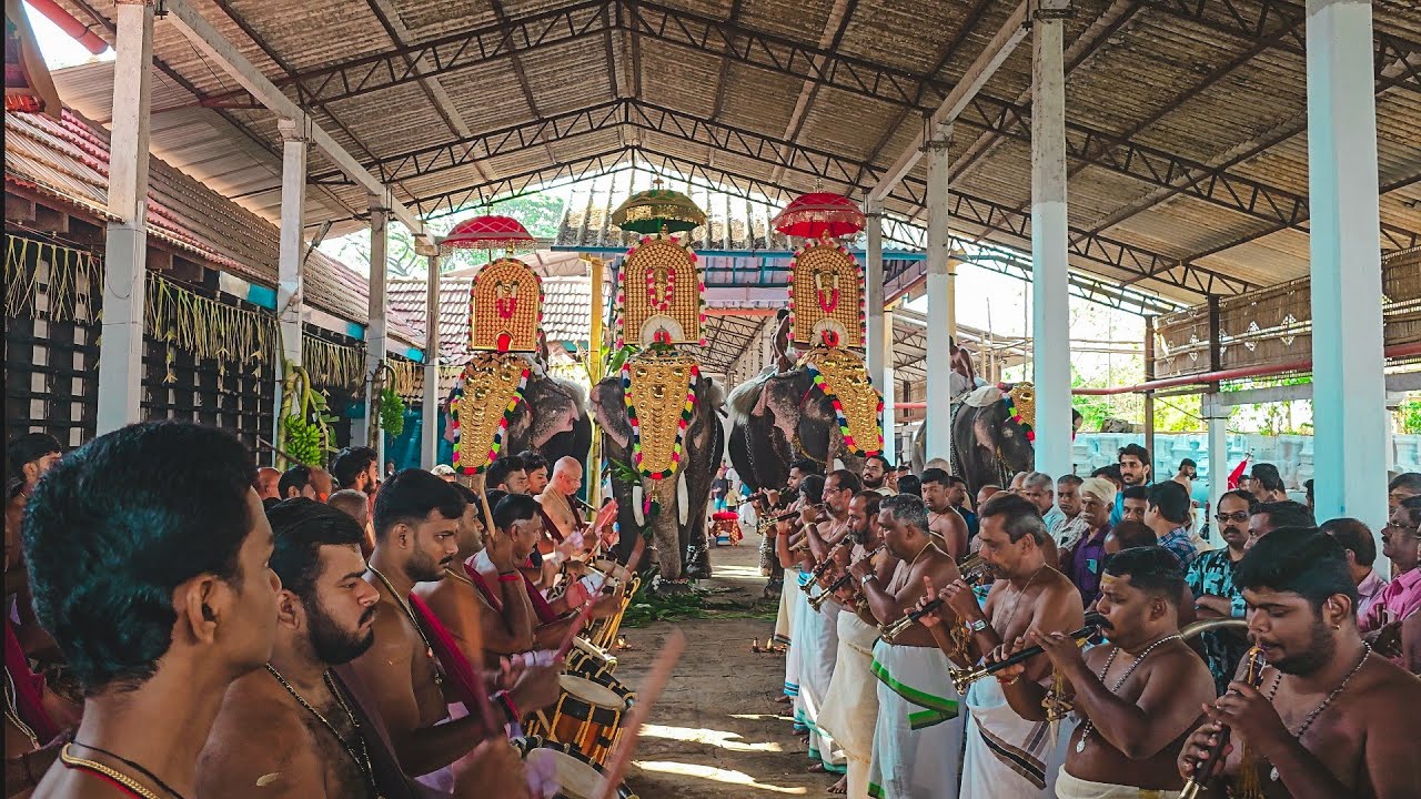 ശീവേലി എഴുന്നെള്ളുപ്പ് ഏകാദശി 2026 Thiruvilwamala Vilwadrinatha Kshethram @Mayilpeeli-krish 