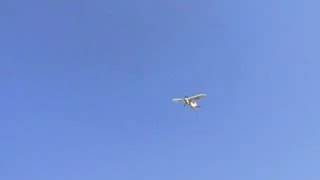 HobbyZone Super CUB screenshot 4