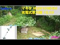 適当すぎてごめんなさい。makita 10.8v 充電式草刈機 MUR100DSHを使ってみた