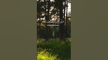 إن الله لا يظلم الناس شيئا /سورة يونس | القارئ عبد الرحمن مسعد  #القرآن_الكريم #اكسبلور
