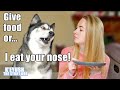 Eating Invisible Food in Front of My Dog! He BITES My NOSE!