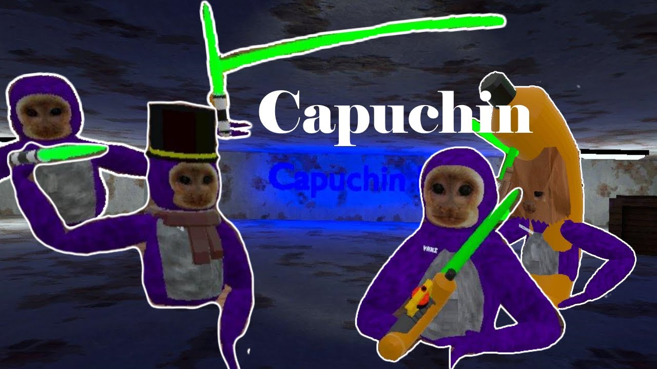 Showing my friends capuchin.... - YouTube