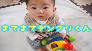 フィッシャープライス まてまてデングリくんで遊ぼう！We played with a Fischer Price toy