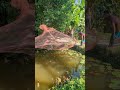 Catching fish with a cast net. #fishing #foryou #fish #riverfishing