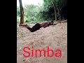 Magaji Konda Anatembea Juu Ya Kamba Magaji Konda Anatembea Juu Ya Kamba