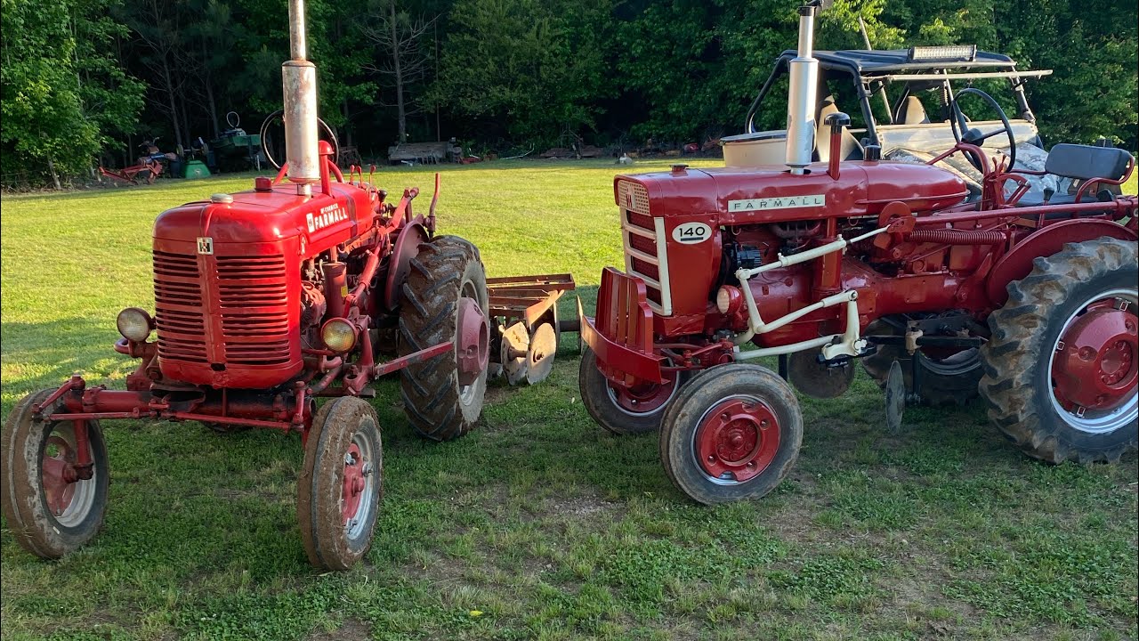 Farmall sunflower dove plot preparing and results