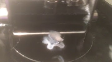 Vibratome Sectioning