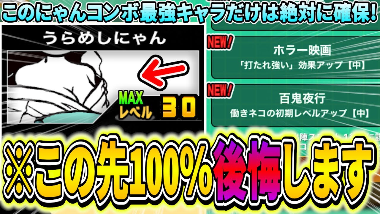 Required] Be sure to hurry and get the strongest cat combo
