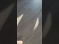 ご飯たべるとこみてて!