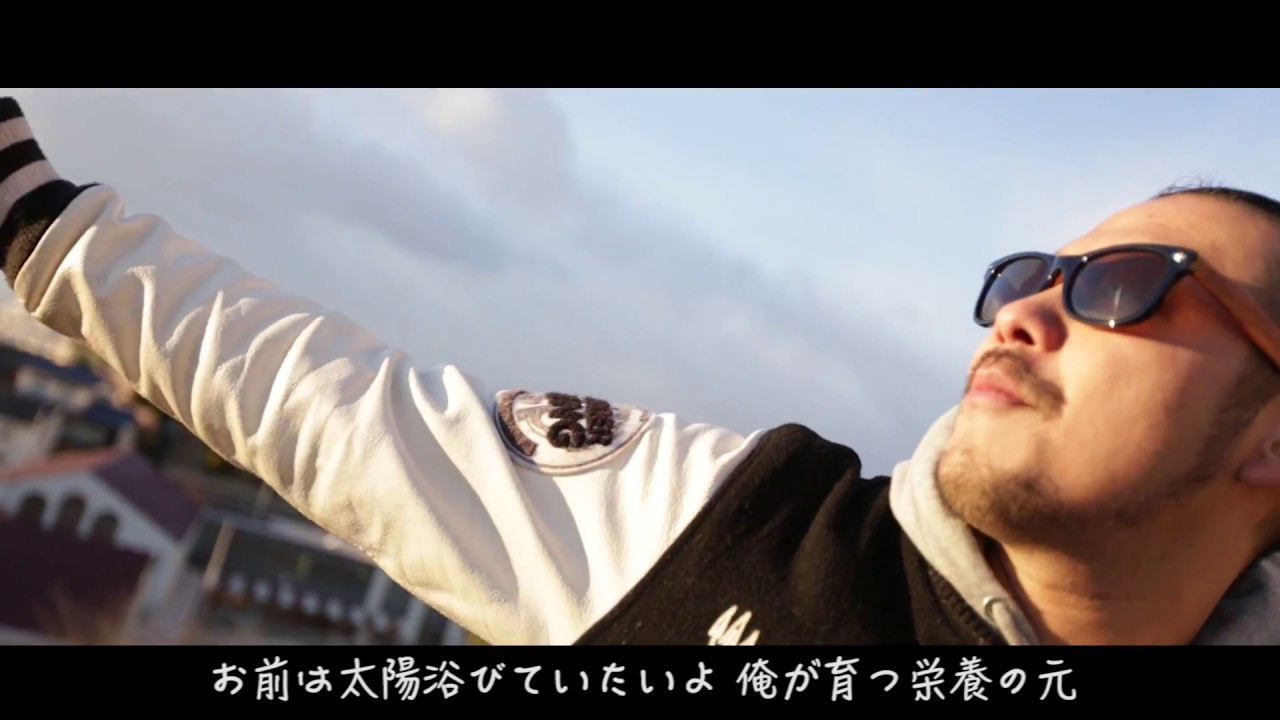 太陽 Macro Phage Youtube