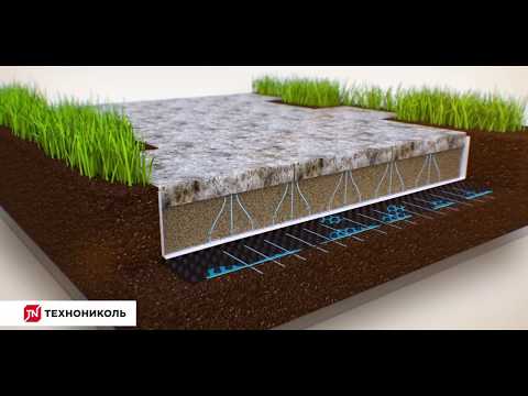 Video: Forskjellen Mellom C4 Og CAM Planter