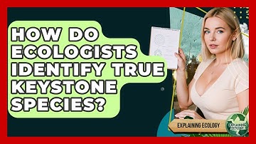 How Do Ecologists Identify True Keystone Species? - Explaining Ecology