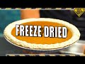 Will Pumpkin Pie Freeze Dry?