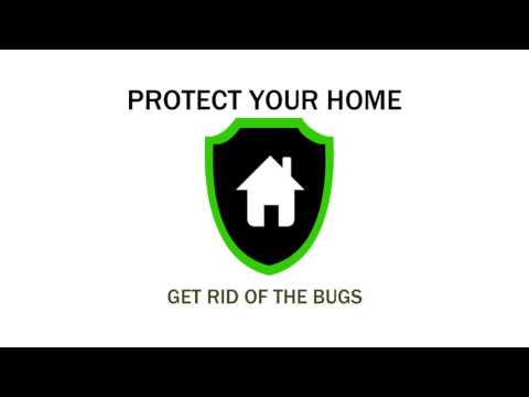 Affordable Pest Control in Pretoria