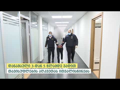 შინაგან საქმეთა სამინისტრომ თბილისში კიბერდანაშაულისთვის უცხო ქვეყნის მოქალაქე დააკავა