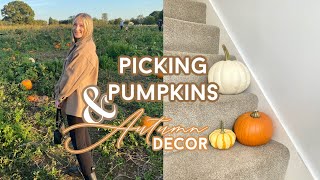 PICKING PUMPKINS & AUTUMN DECOR| AUTUMNAL VLOG 🧡
