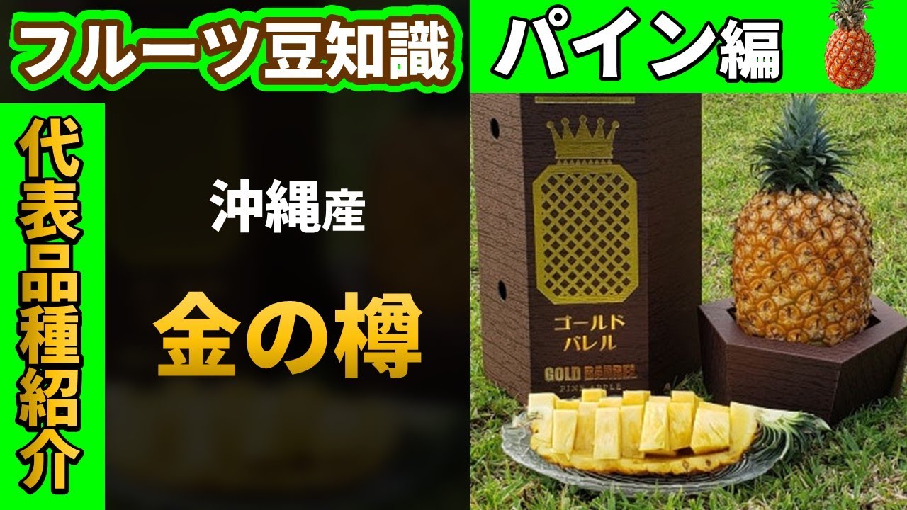 あった。沖縄に…】パイナップルの代表品種の紹介 - YouTube