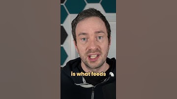 Google Quality Rater reveals everything... 👀