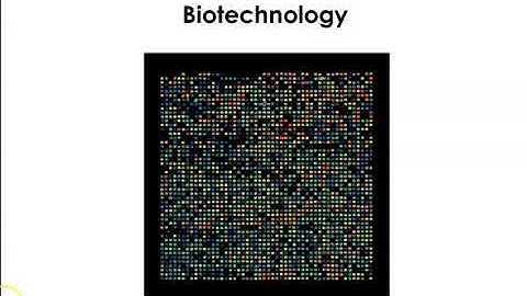 Chapter 20 Biotechnology