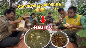 MÓN ĂN HAO CƠM HÁI CÀ PHÊ NHÀ BỐ MẸ NGÀY THỨ 2 