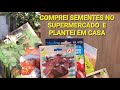 ESCOLHI SEMENTES NO SUPERMERCADO PARA PLANTAR