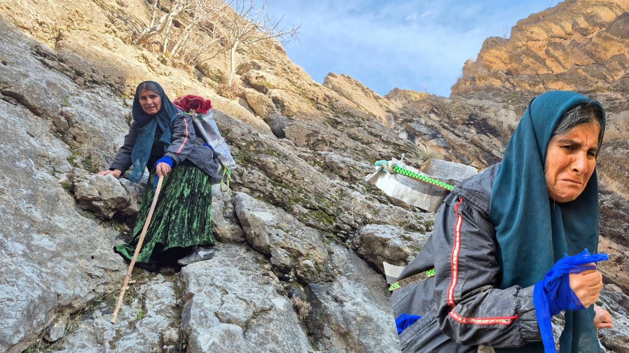 Опасный путь: борьба вдовы за выживание.