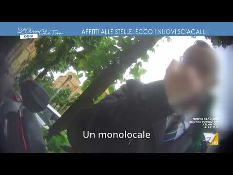 Video: Da quale paese provengono gli sciacalli?