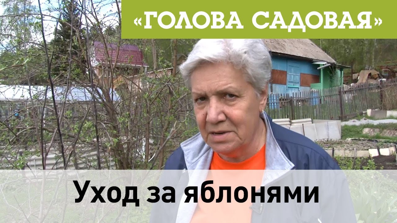голова садовая с тетей таней. голова садовая с тетей таней видео. голова садовая с тетей таней видео. сад и огород голова садовая. голова садовая с тетей таней видео.